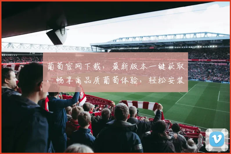 葡萄官网下载，最新版本一键获取，畅享高品质葡萄体验，轻松安装，不容错过