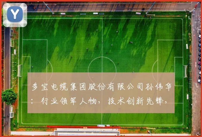 多宝电缆集团股份有限公司孙伟华：行业领军人物，技术创新先锋，品质保障承诺