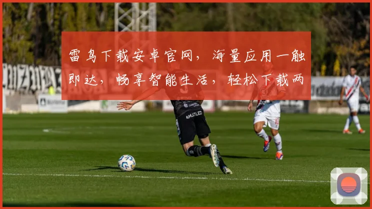 雷鸟下载安卓官网，海量应用一触即达，畅享智能生活，轻松下载两不误，体验极致便捷